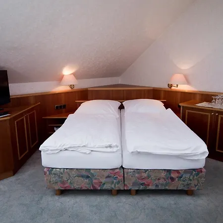 فندق Sonnenhof باد ساخسا